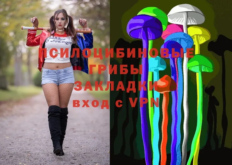 Галлюциногенные грибы Cubensis  дарк нет состав  Лобня 